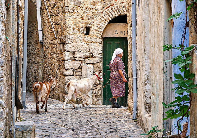 Mesta is one of the most authentic villages on Chios and is as far removed from mass tourism as you can get.