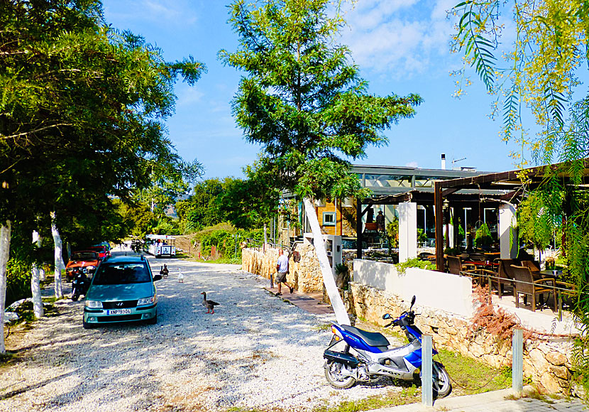 Enasma Café and taverna at Agia Lake south of Chania in Crete.