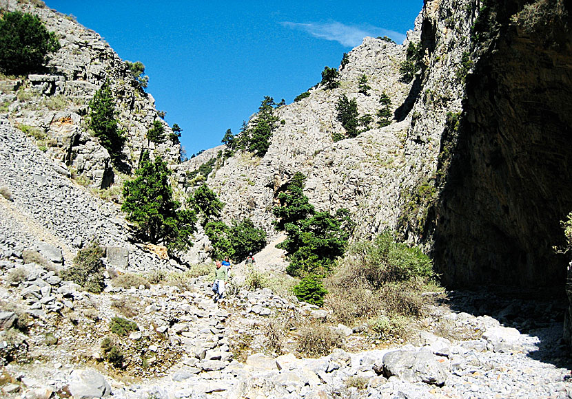 Just like in the Samaria gorge, there are a lot of pebbles in the Imbros gorge.