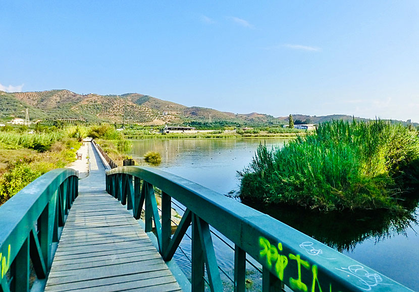 Café Agia Lake and tavern south of Chania in Crete.