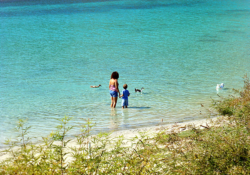 Tame ducks and bathing toddlers in the water at Kournas Lake in Crete.