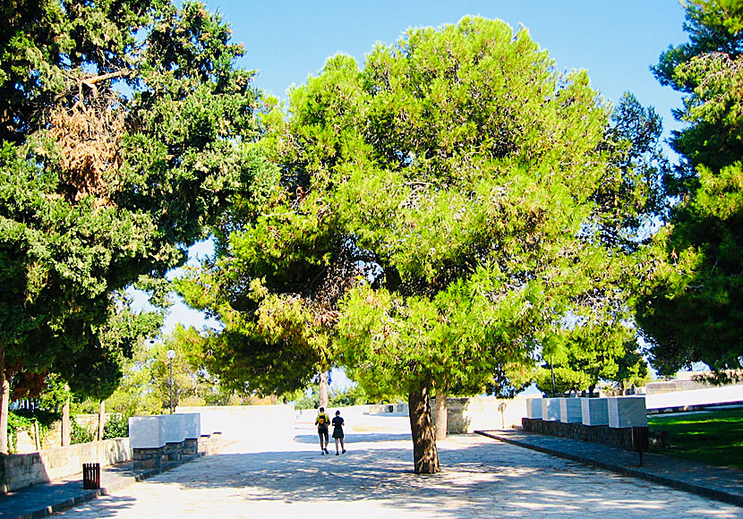 The park with the tomb of Eleftherios Venizelo in Chania.