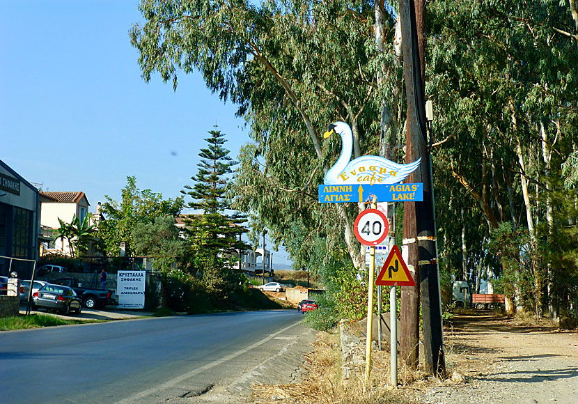 Follow the signs to Enasma Café when driving to Agia Lake.