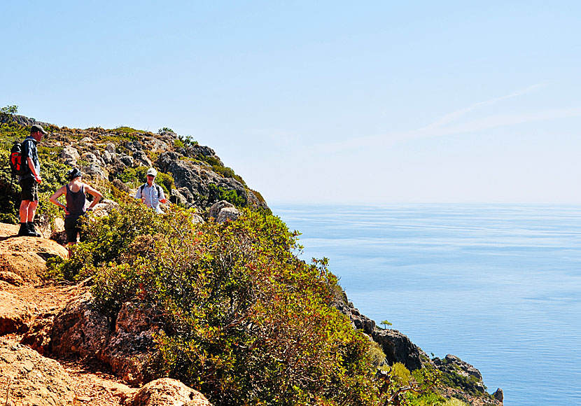 Popular hikes through Crete's spectacular gorges.