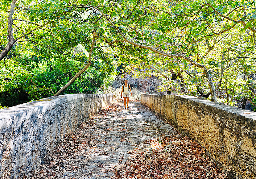 Nice hikes that start in the village of Azogires in southern Crete.