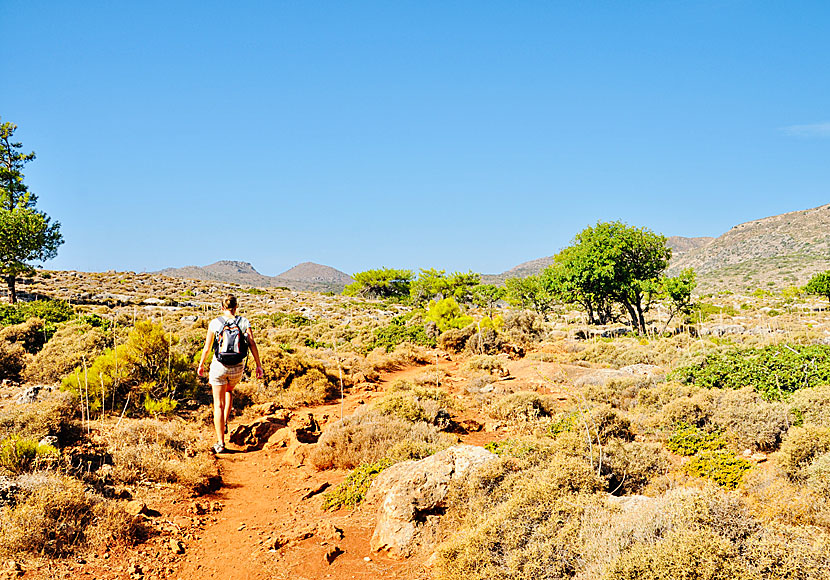 Hike from Sougia to Lissos in Crete.