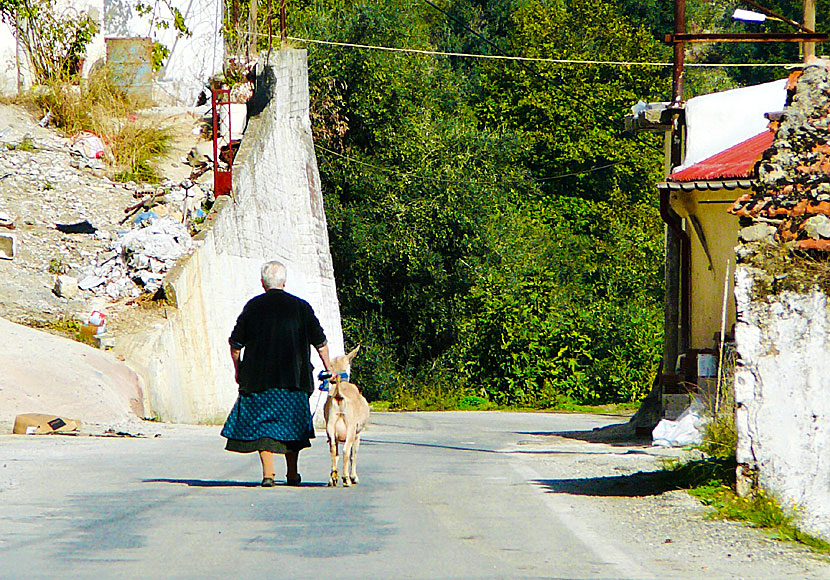 You will find genuine Crete, without mass tourism, in the village of Lakki, along the road to the Samaria Gorge.