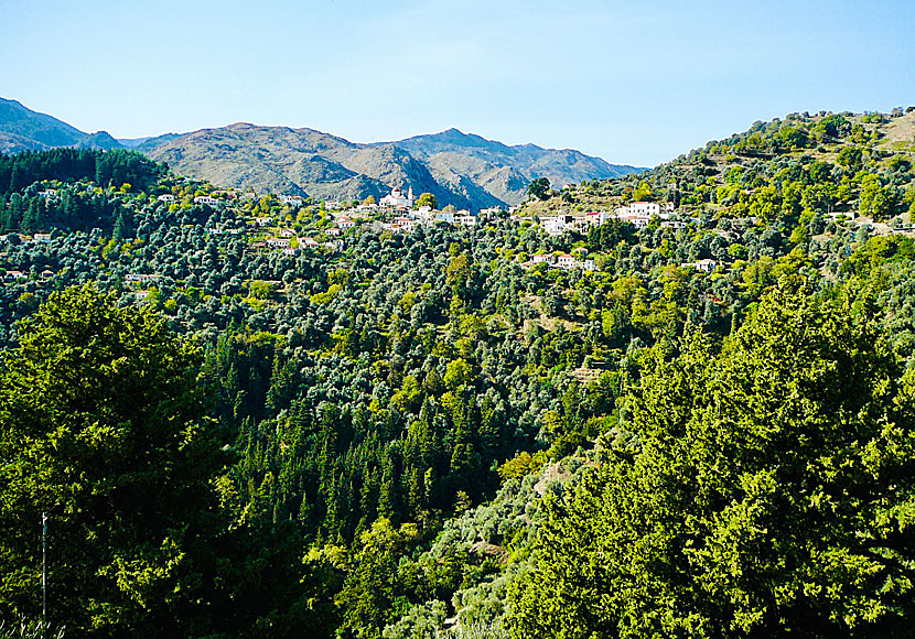 The village of Lakki along the road up to the Samaria Gorge in Crete.