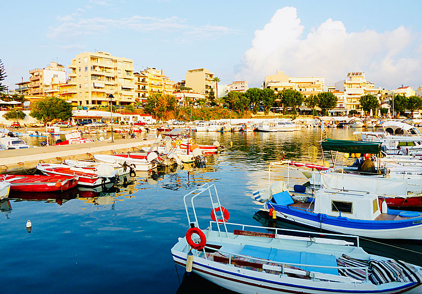 Restaurants with fresh fish in Nea Chora near Chania in Crete.