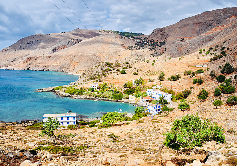 Phoenix and Livaniana near Loutro in southern Crete.