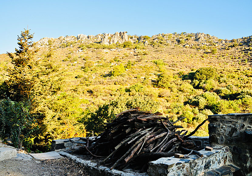 In Milia on Crete there is no electricity. All food at the restaurant is cooked in a wood-fired oven. Best food in Crete!