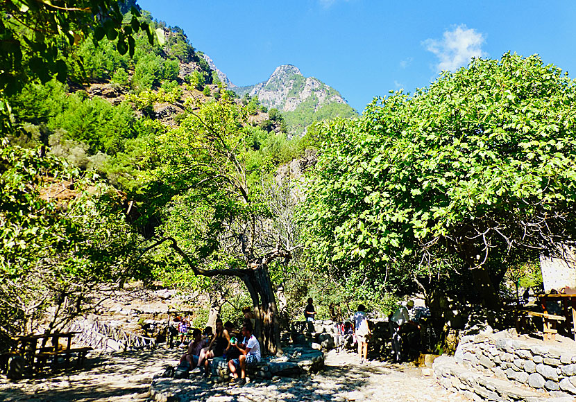 Rest break in the abounded village of Samaria in Crete.