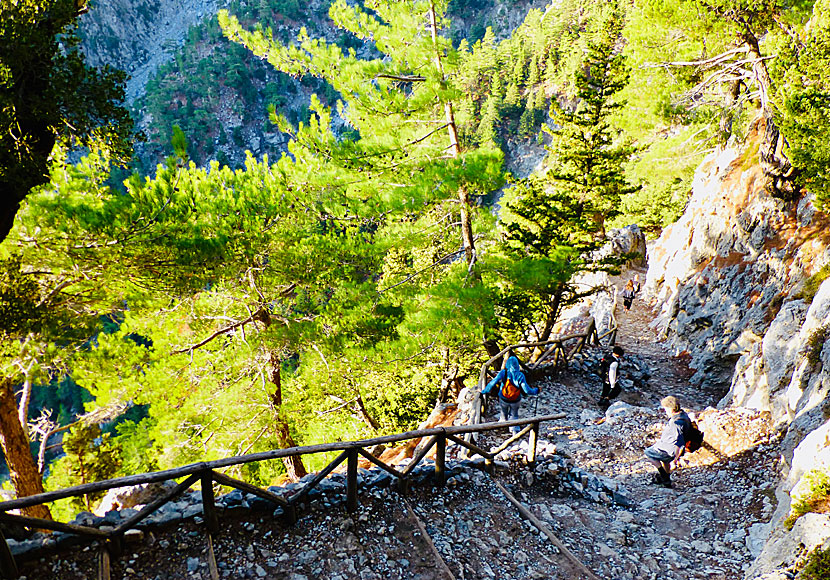The hike in the Samaria Gorge takes between four and seven hours.