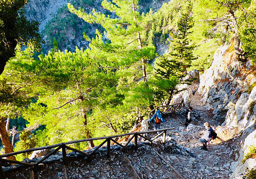 Don't miss hiking in the Samaria Gorge when you're in Crete.