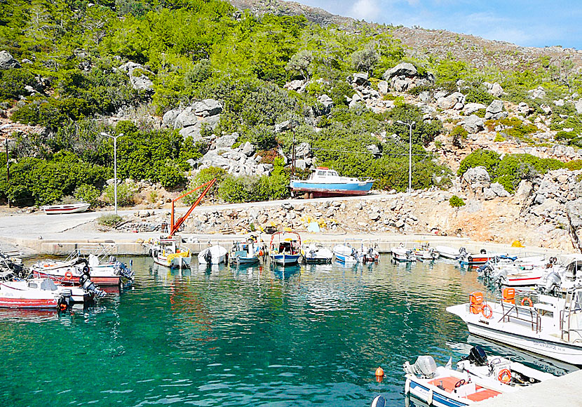 The small port in Sougia where the hike to Lissos begins.