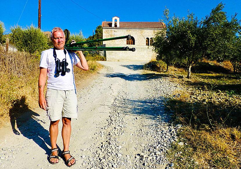Bird watching in the wetlands of Crete.