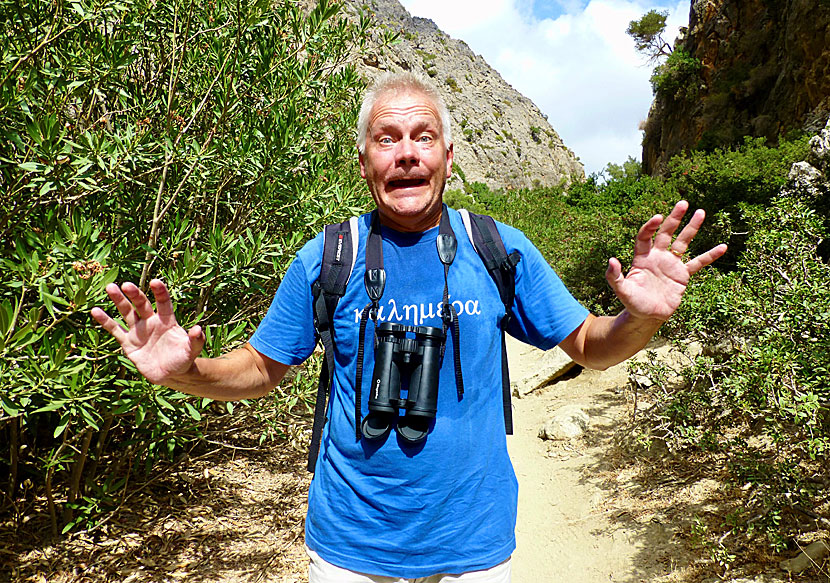 Dangerous snakes in Crete, Greece.