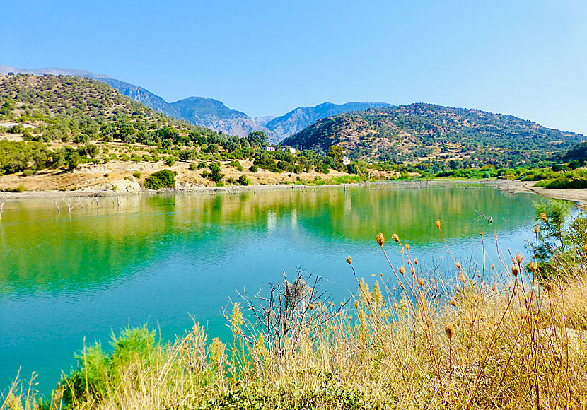 Faneromeni Lake is a dam of 1000 hectares and was built in 2005.