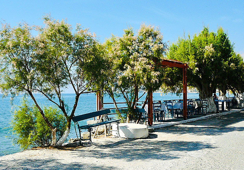Hotels, restaurants and taverns in Keratokambos on Crete.
