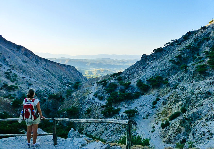 The Rouvas gorge is located above the village of Zaros in Crete.