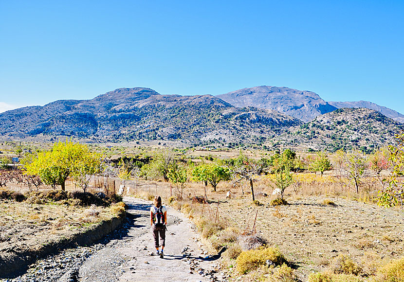 Hike on the Katharo plateau in eastern Crete.