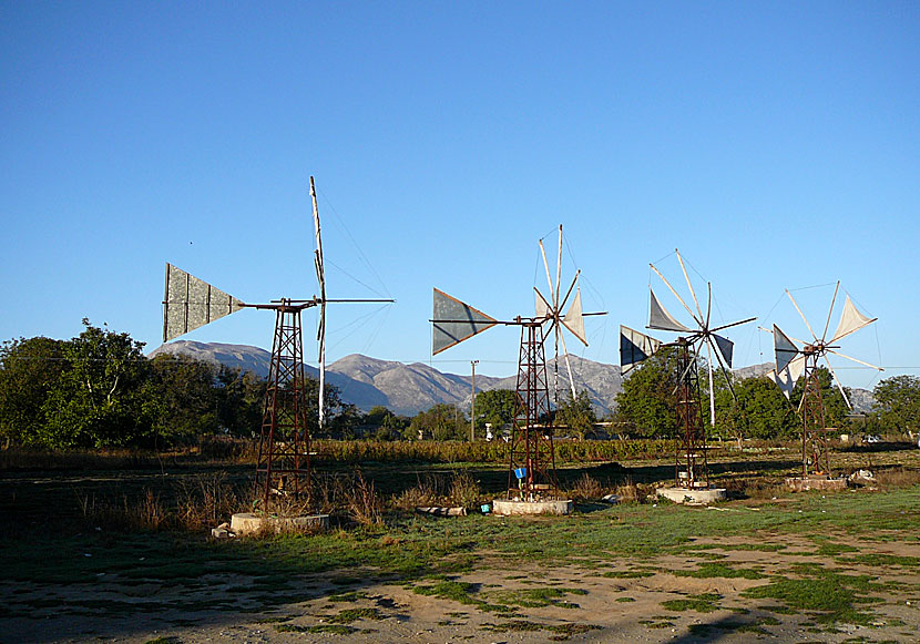 Some of the windmills that remain on the Lasithi Plateau.