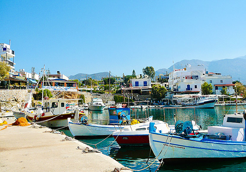 The cute harbour of Sissi in Crete.