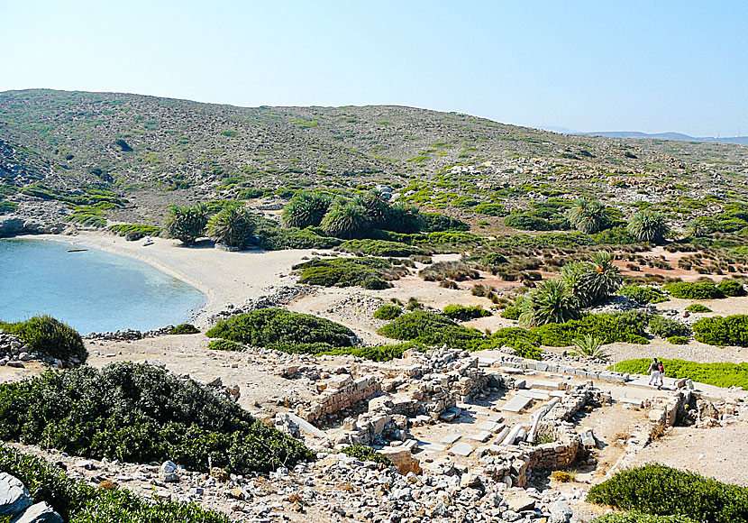 Itanos palm beach near Vai beach in eastern Crete.