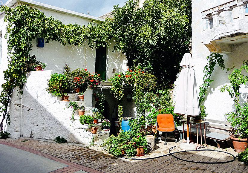 Anogia in Crete is not a beautiful village, it is a geunin village where time has stood still.