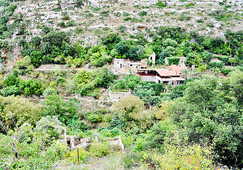 Mili Gorge Taverna and cafe is located in the middle of the gorge.