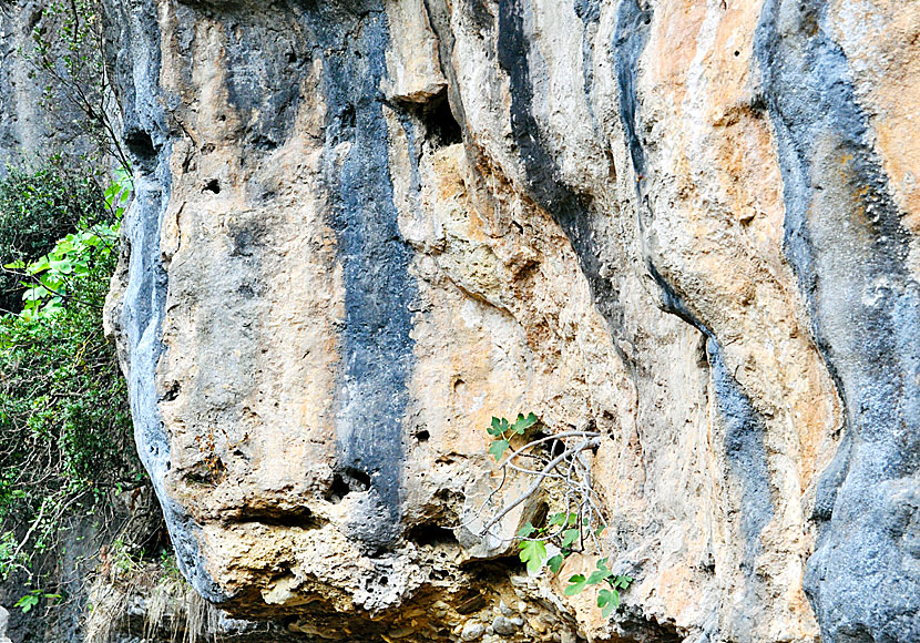 Beautiful rock formations in Mili Gorge.