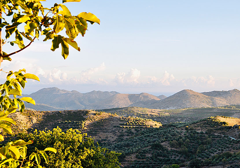 Genuine Anogia is not a pretty village, but the landscape is among the most beautiful in all of Crete.