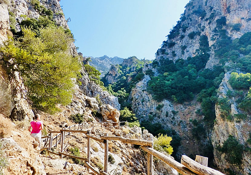 Hike in the Platania Gorge in Crete.