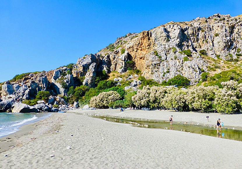 The taverna at Preveli beach lies under the tamarisk trees.