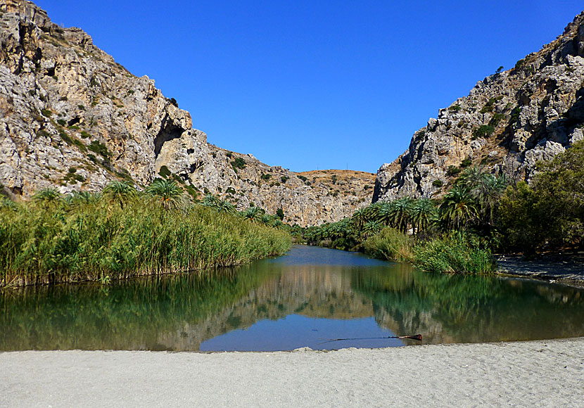 Preveli beach in Crete. The small river is lined with palm trees and flows through the beach into the sea.