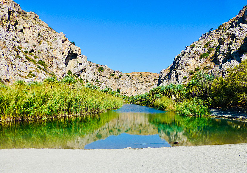 Preveli beach in Crete. The small river is lined with palm trees and flows through the beach into the sea.