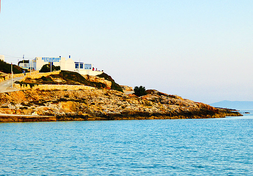 Restaurant Iiovasilema in the port of Donoussa.