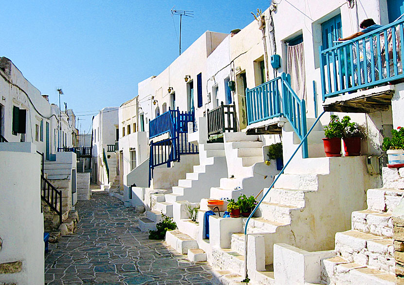 The architecture in Kastro is typical Cycladic.