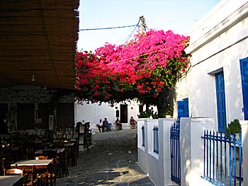 The village Chora on Folegandros. 