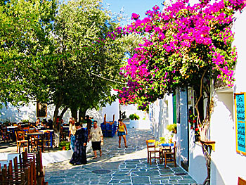 The village Chora on Folegandros. 