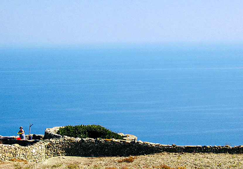 Walled lemon trees in Folegandros.