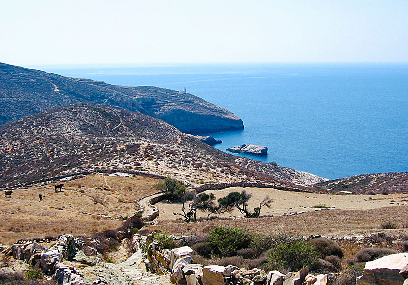 Hiking to Livadaki bech in Folegandros.