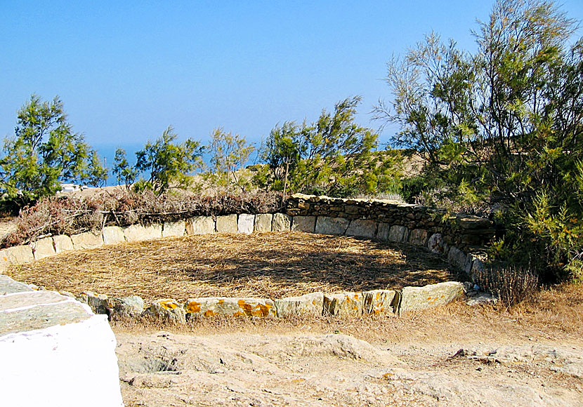 Separating the chaff from the wheat using donkeys in the Cyclades.