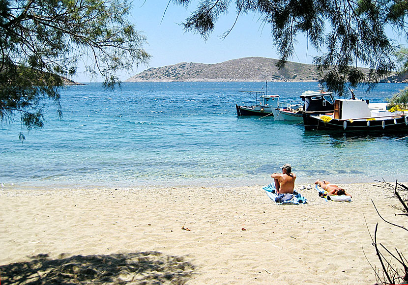 There are no sunbeds for hire at Fourni, but there is plenty of shade from tamarisk trees.