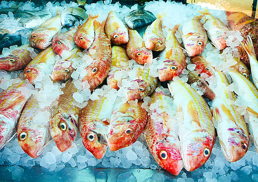 At Nikos Taverna you can eat fresh barbouni, which I think is the best fish in Greece.