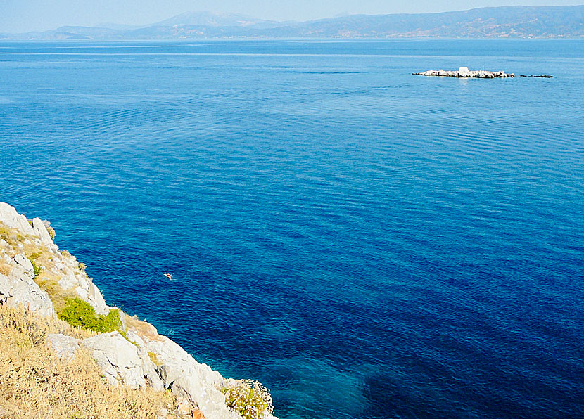 Snorkelling along the coast of Hydra.