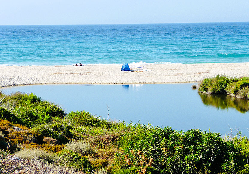 The river Myrsonas has its outflow on Messakti beach on Ikaria.