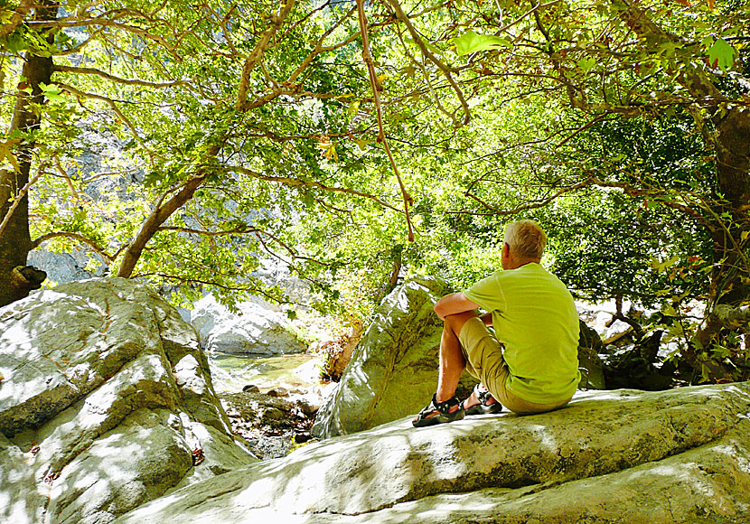 There are four blue zones in the world and one of these is on the island of Ikaria in Greece.