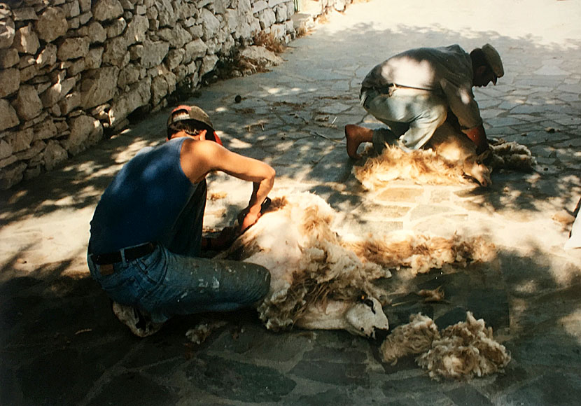 The rural, picturesque and genuine village of Panagia on Iraklia.