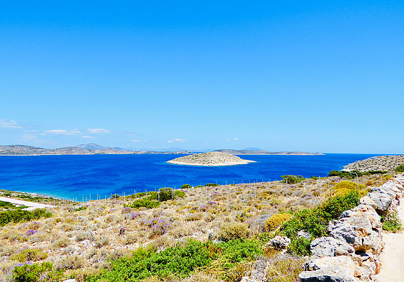 Hikes on Iraklia in the Cyclades.
